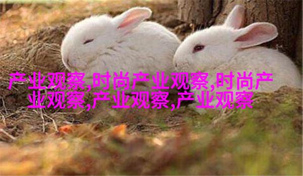 梳理过的低位寸