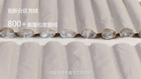 明星时尚穿搭_时尚明星_明星时尚秀/